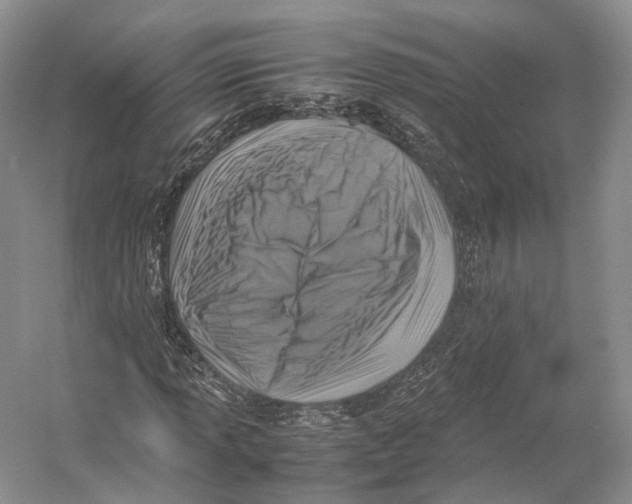 X0000053131013200508081312