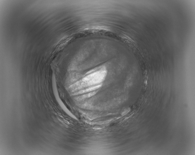X0000053131014200508081312
