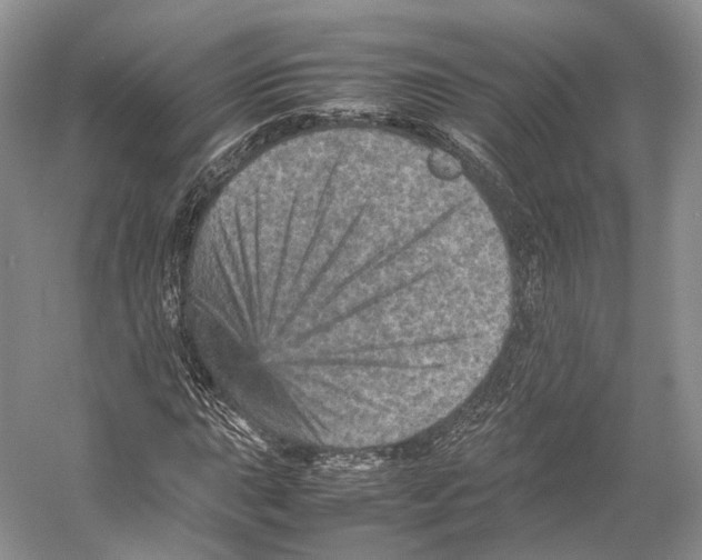 X0000053131015200508081312