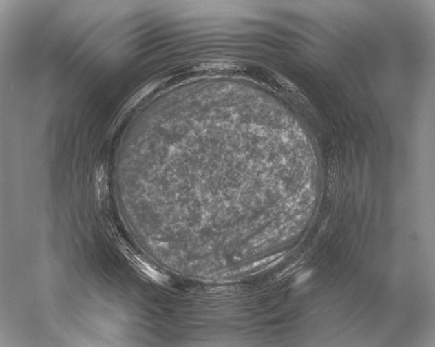 X0000053131017200508081312