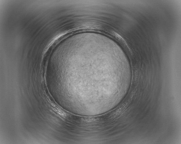 X0000053131019200508081312