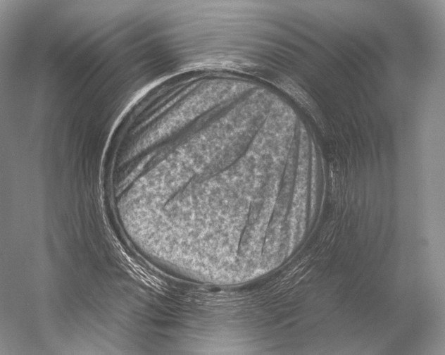 X0000053131020200508081312