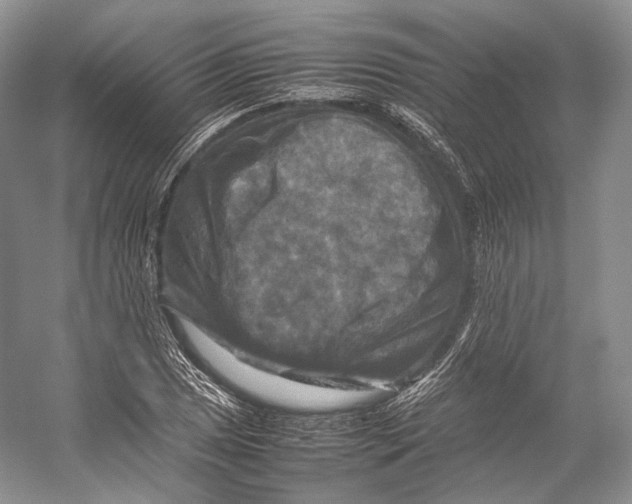 X0000053131025200508081312