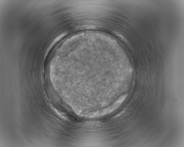 X0000053131026200508081312