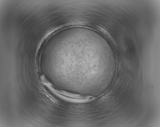 X0000053131027200508081312
