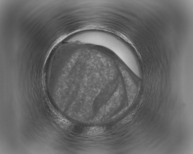 X0000053131029200508081312
