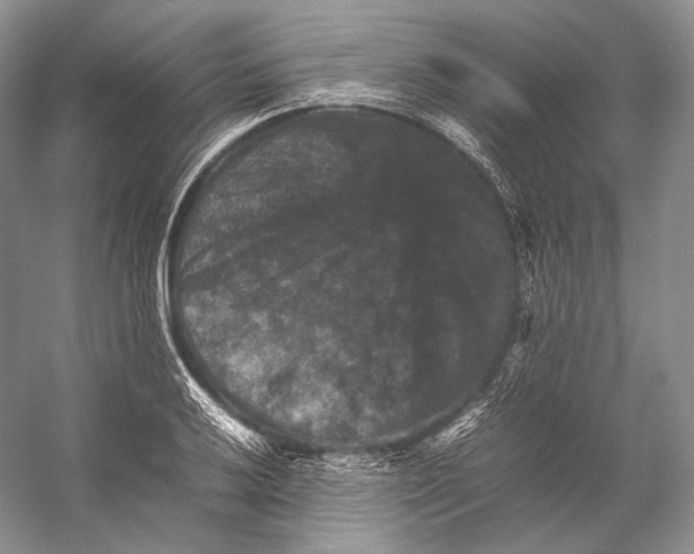 X0000053131032200508081312