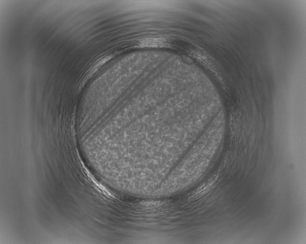 X0000053131033200508081312