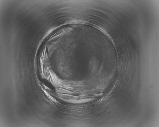 X0000053131037200508081312