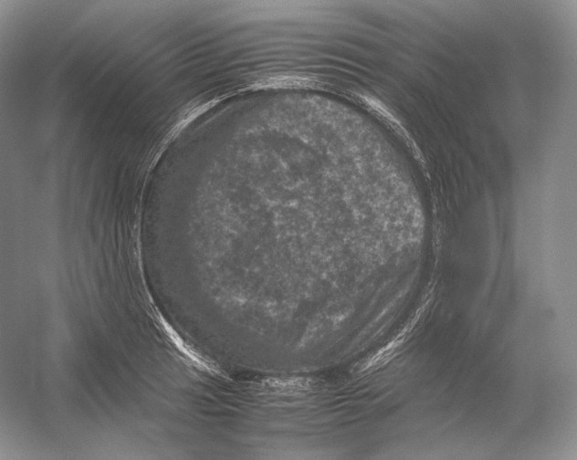 X0000053131041200508081313