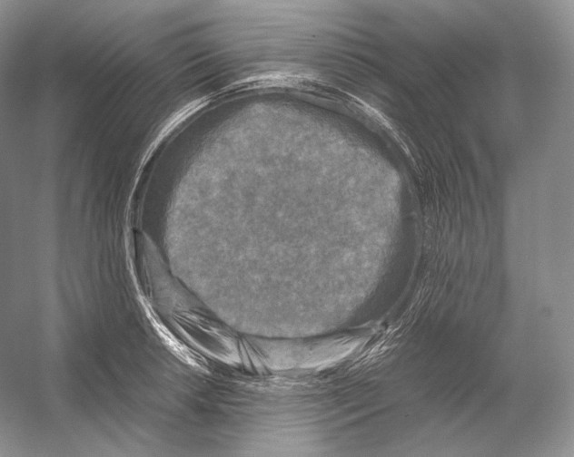 X0000053131042200508081313