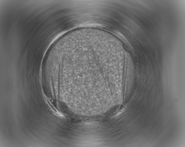 X0000053131044200508081313