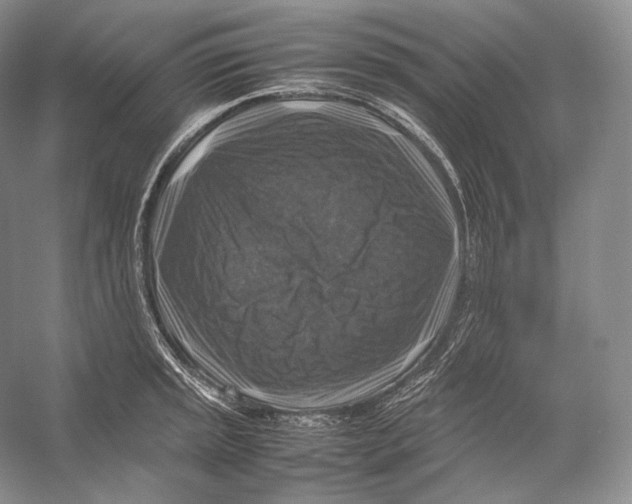 X0000053131045200508081313