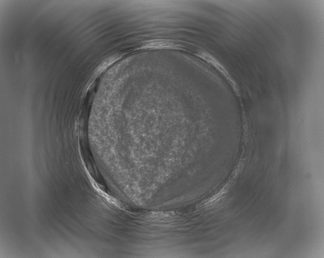 X0000053131049200508081313