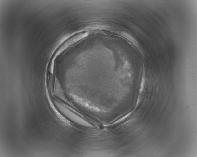 X0000053131055200508081313