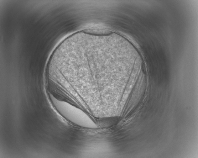 X0000053131056200508081313