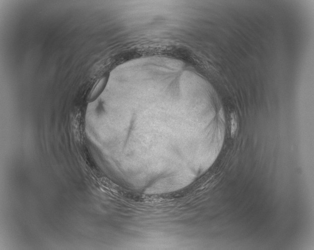 X0000053131059200508081312