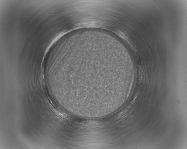 X0000053131070200508081312