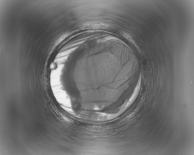 X0000053131071200508081312