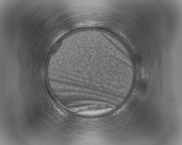 X0000053131073200508081312