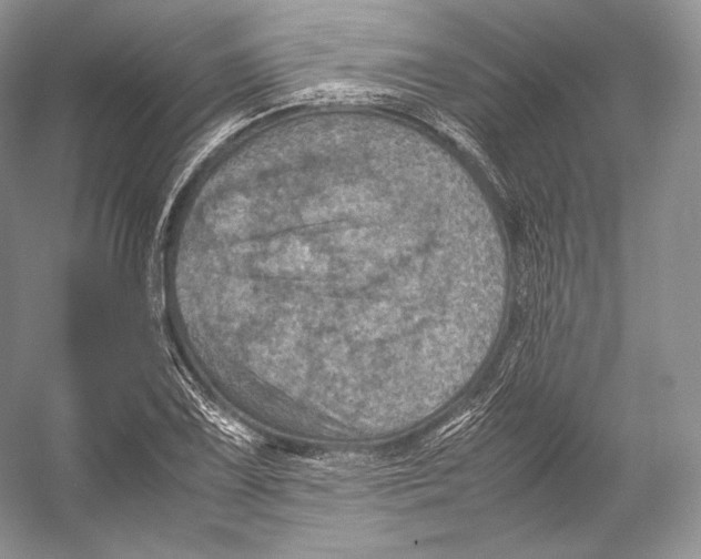 X0000053131075200508081312