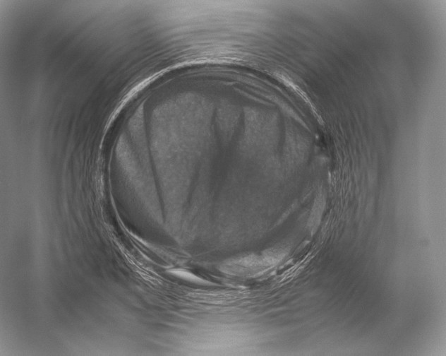 X0000053131077200508081312