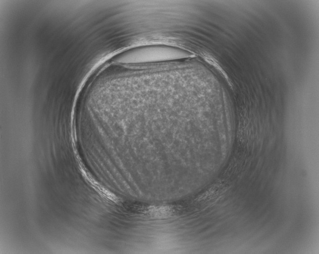 X0000053131080200508081312