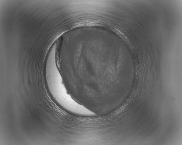 X0000053131081200508081312