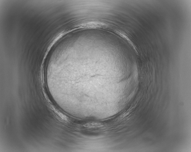 X0000053131083200508081312
