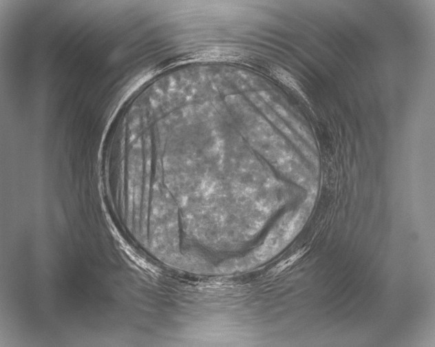 X0000053131087200508081311