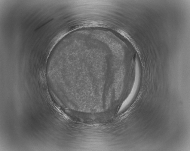 X0000053131089200508081311