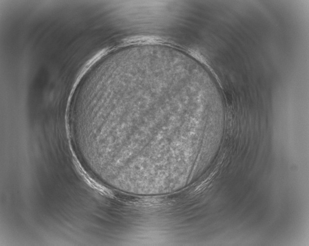 X0000053131090200508081311