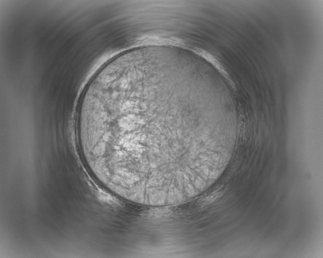X0000053131094200508081311