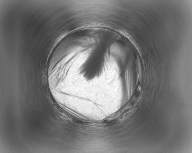 X0000053131097200508081311