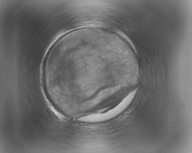 X0000053131099200508081311