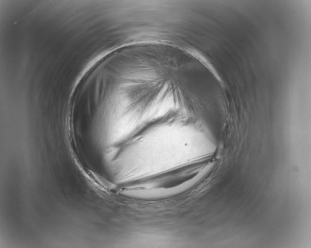 X0000053131101200508081311