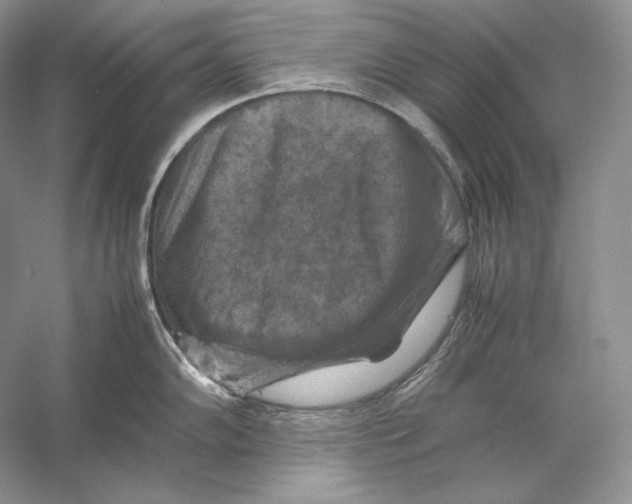 X0000053131102200508081311