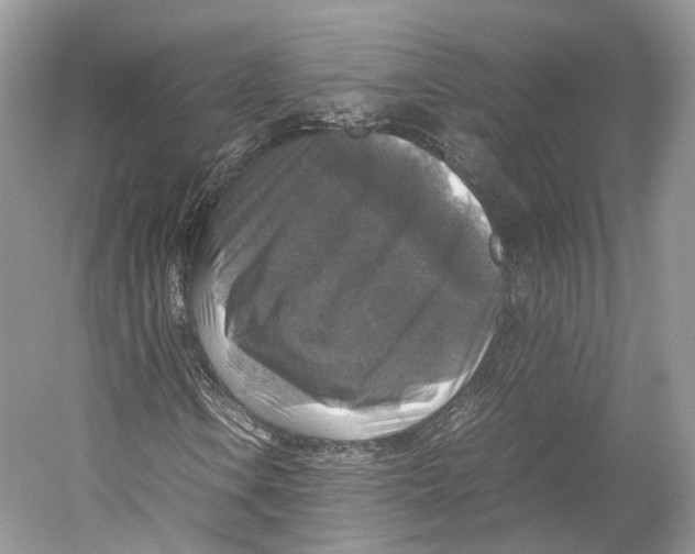 X0000053131106200508081310