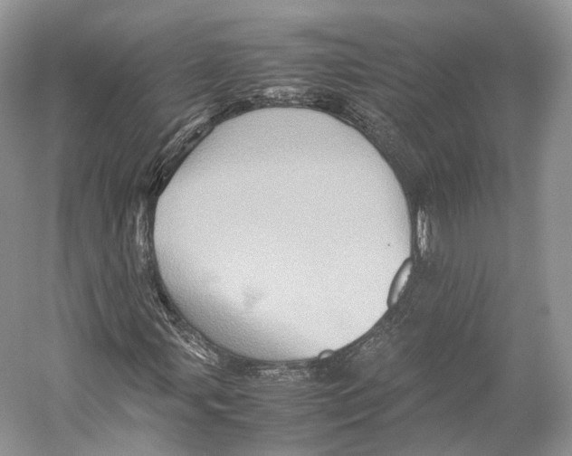 X0000053131107200508081310