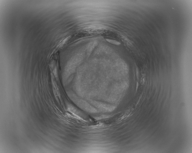 X0000053131108200508081310