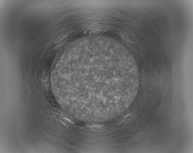 X0000053131109200508081310