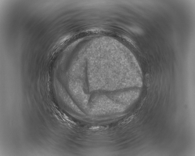 X0000053131111200508081310