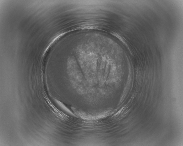 X0000053131115200508081311