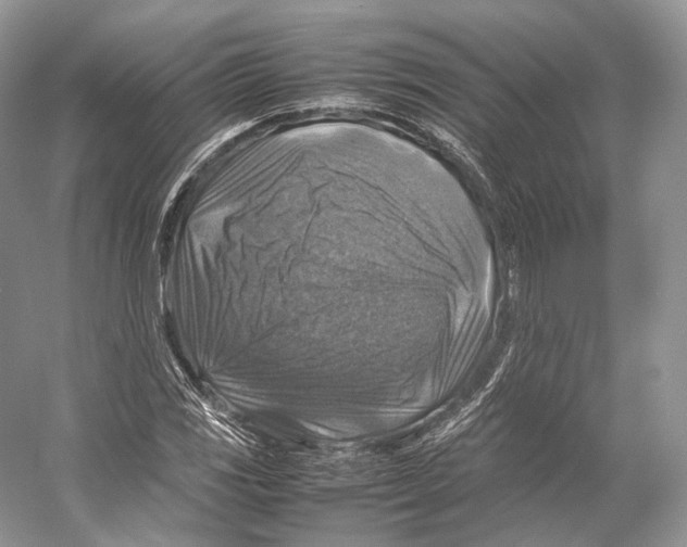 X0000053131117200508081311
