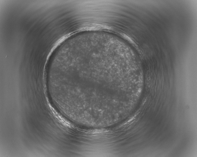 X0000053131122200508081311