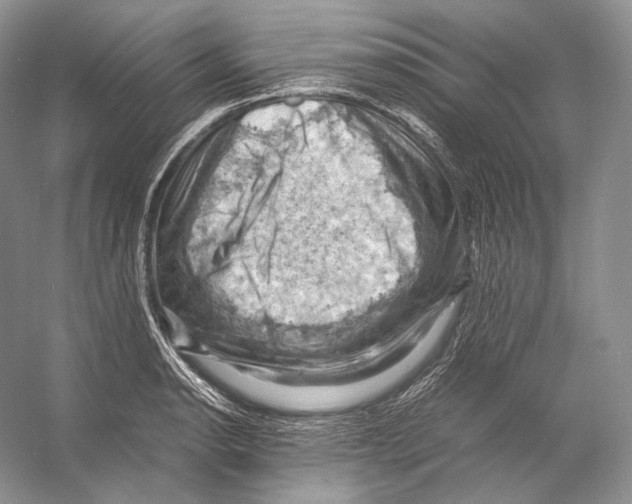 X0000053131134200508081311