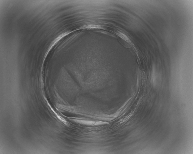 X0000053131141200508081311