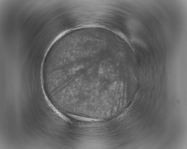 X0000053131142200508081311