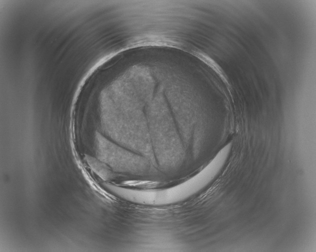 X0000053131144200508081311