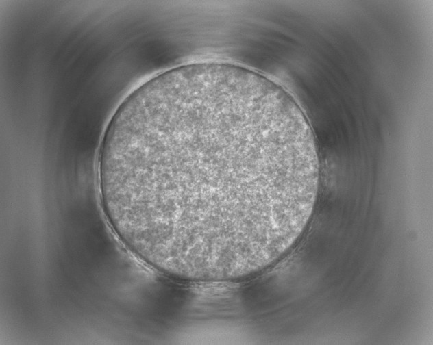 X0000053131150200508081311